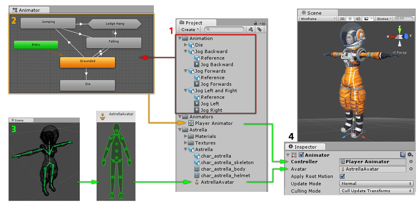 How the parts of the Mecanim Animation system connect together